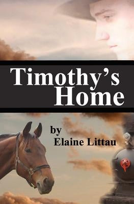 Timothy's Home: Nan's Heritage Series by Littau, Elaine