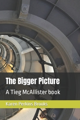 The Bigger Picture: A Tieg McAllister book by Brooks, Karen Perkins