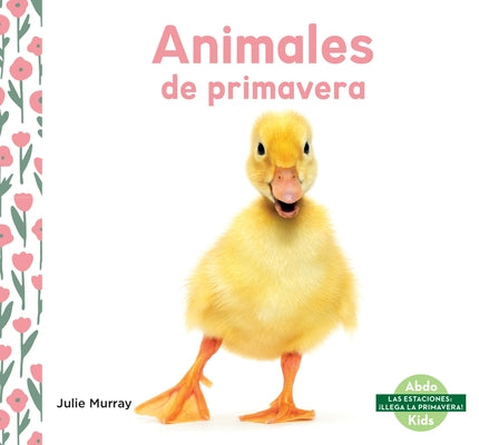 Animales de Primavera by Murray, Julie