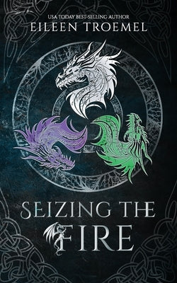 Seizing the Fire by Troemel, Eileen