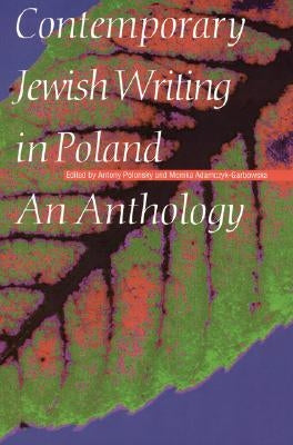 Contemporary Jewish Writing in Poland: An Anthology by Polonsky, Antony