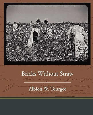 Bricks Without Straw by Tourgee, Albion Winegar