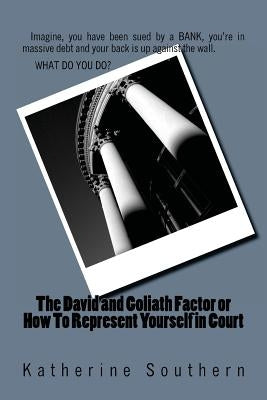The David and Goliath Factor or How To Represent Yourself in Court by Southern, Katherine