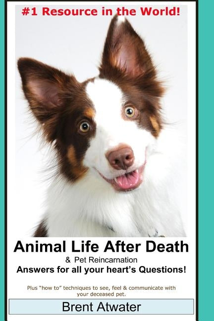 Animal Life After Death & Pet Reincarnation: Answers for all your heart's Questions! by Atwater, Brent