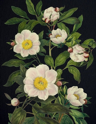 Blooming Flowers Journal by Editors of Chartwell Books