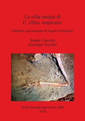 La villa rustica di C. Olius Ampliatus: Suburbio sud-orientale di Napoli (Ponticelli) by Cascella, Sergio