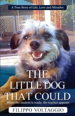The Little Dog That Could: A True Story of Life, Love and Miracles by Voltaggio, Filippo