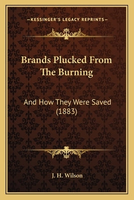 Brands Plucked From The Burning: And How They Were Saved (1883) by Wilson, J. H.
