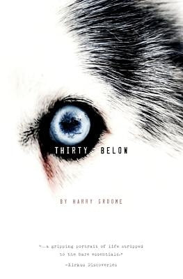 Thirty Below by Groome, Harry