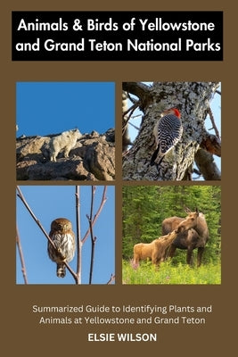 Animals and Birds of Yellowstone and Grand Teton National Parks: Guide to Exploring Animals and Birds of Yellowstone and Grand Teton by Wilson, Elsie