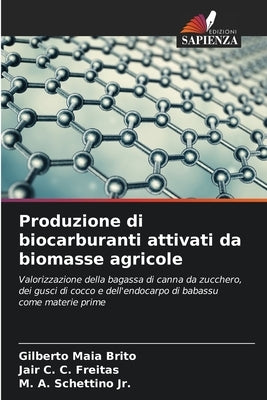Produzione di biocarburanti attivati da biomasse agricole by Maia Brito, Gilberto