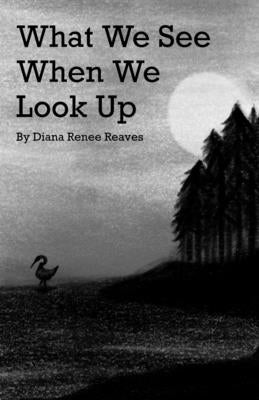 What We See When We Look Up by Reaves, Diana Renee