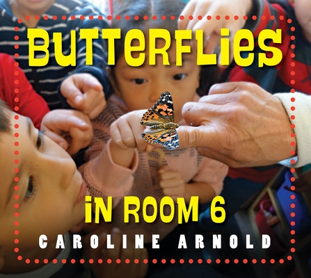Butterflies in Room 6: See How They Grow by Arnold, Caroline