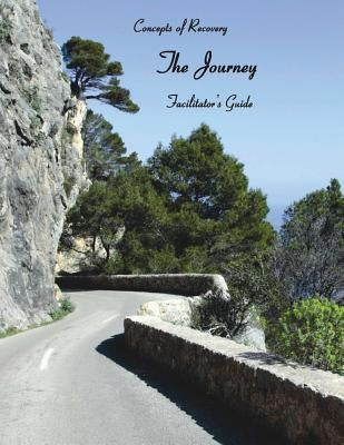 Concepts of Recovery The Journey: Facilitator's Guide by Lace, Mse Lpc