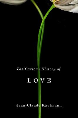 The Curious History of Love by Kaufmann, Jean-Claude