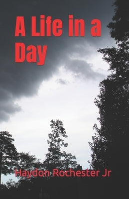 A Life in a Day by Rochester, Haydon, Jr.