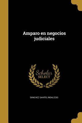 Amparo en negocios judiciales by Sánchez Gavito, Indalecio