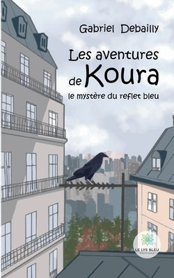 Les aventures de Koura: Le mystère du reflet bleu by Gabriel Debailly
