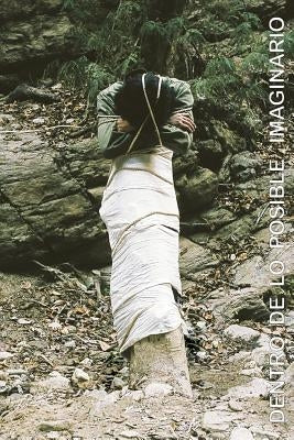 Dentro de lo posible imaginario by Milton, Becerra