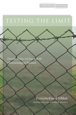 Testing the Limit: Derrida, Henry, Levinas, and the Phenomenological Tradition by Sebbah, FranÃ§ois-David