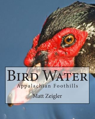 Bird Water: Appalachian Foothills by Zeigler, Matt