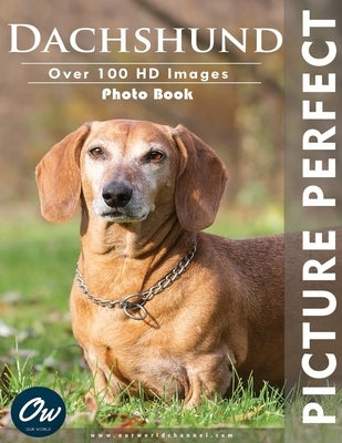 Dachshund: Picture Perfect Photo Book by Arelt, A.