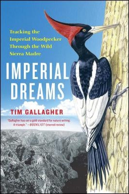 Imperial Dreams by Gallagher, Tim