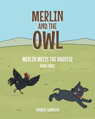 Merlin and the Owl;: Merlin Meets the Rooster by Garbisch, Sharrie