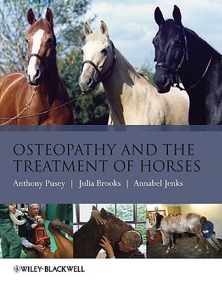 Osteopathy Treatment Horses by Pusey, Anthony
