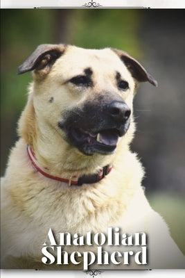 Anatolian Shepherd: Dog breed overview and guide by Pustova, Nina