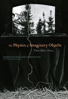 The Physics of Imaginary Objects by Hall, Tina May