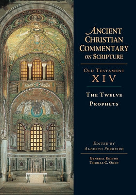 The Twelve Prophets: Volume 14 Volume 14 by Ferreiro, Alberto