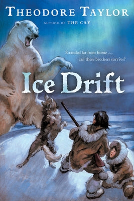 Ice Drift by Taylor, Theodore