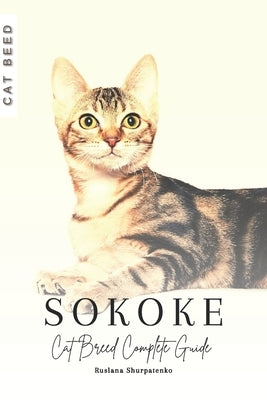 Sokoke Cat: Cat Breed Complete Guide by Shurpatenko, Ruslana
