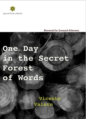 One Day in the Secret Forest of Words by Valero, Vicente