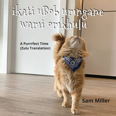 ikati uBob umngane wami omkhulu - A Purrrfect Time (Zulu Translation) by Miller, Sam