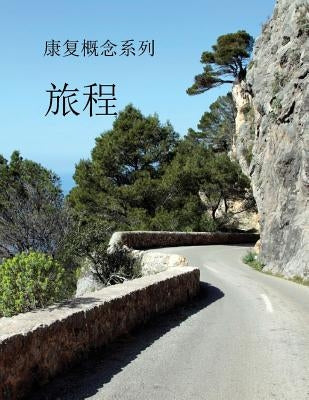 Concepts of Recovery The Journey: (Mandarin Translation) by Lace, Millie