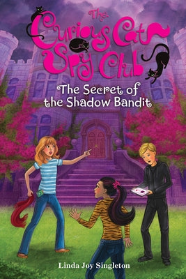 The Secret of the Shadow Bandit: Volume 4 by Singleton, Linda Joy