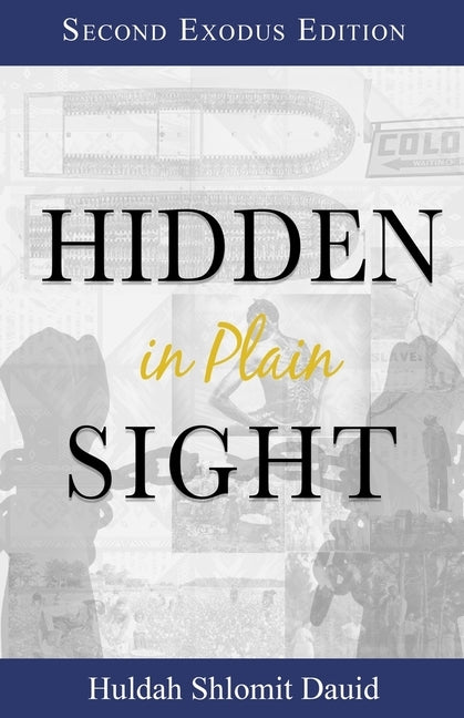 Hidden in Plain Sight: The Revelation of the Son's of Yah in America by Yisrael, Alizah