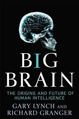 Big Brain by Lynch, Gary