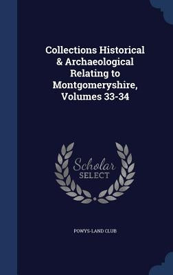 Collections Historical & Archaeological Relating to Montgomeryshire, Volumes 33-34 by Powys-Land Club