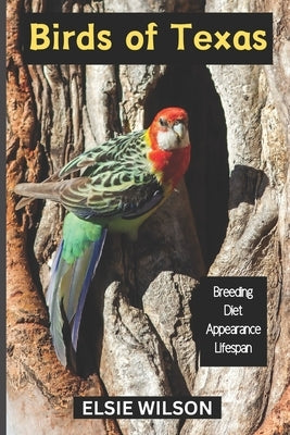 Birds of Texas: Guide to Exploring Birds in Texas by Wilson, Elsie