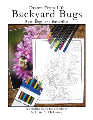 Drawn From Life Backyard Bugs: Bees, Bugs, and Butterflies by Delaney, Erin a.