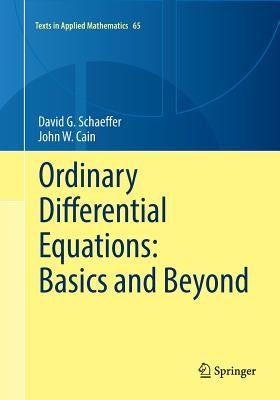 Ordinary Differential Equations: Basics and Beyond by Schaeffer, David G.