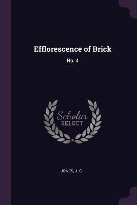 Efflorescence of Brick: No. 4 by Jones, J. C.