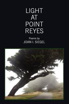 Light at Point Reyes by Siegel, Joan I.