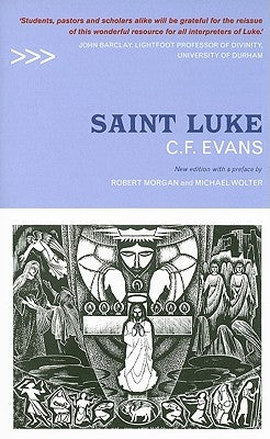 Saint Luke by Evans, C. F.