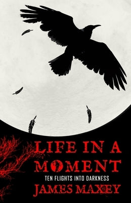 Life in a Moment: Ten Flights into Darkness by Maxey, James
