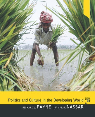 Politics and Culture in the Developing World by Payne, Richard J.