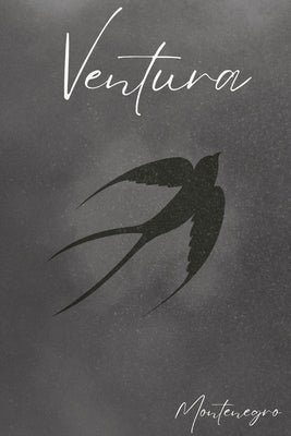 Ventura by Montenegro